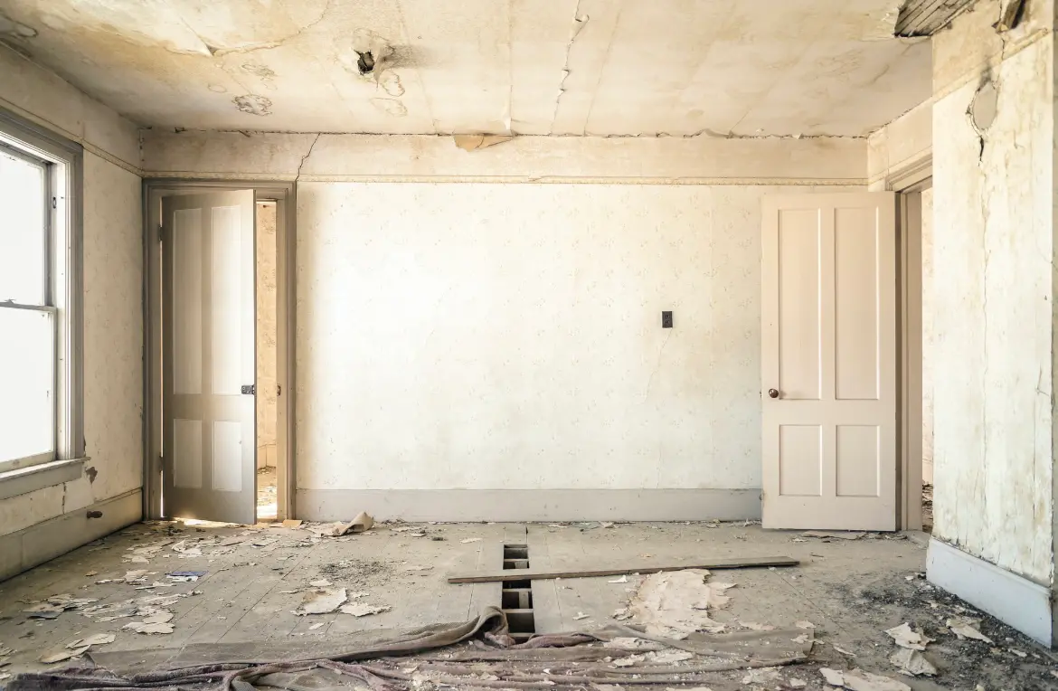 Waste disposal crew managing a cleanout project in Buda